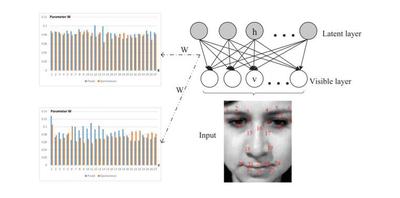 Fig. The framework of capturing spatial patterns