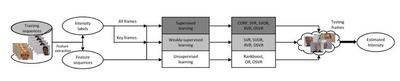 A diagram showing the experiment process. Depending on the experiment setting, different amounts of intensity annotation information are fed into model learning process, resulting different models. Training is performed using complete expression sequences while testing is performed on each frame of a sequence.