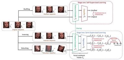 Fig. The proposed two-stage learning framework. The first stage is self-supervised learning stage, as shown in the upper part of the Fig. The second stage is semi-supervised learning stage, as shown in the lower part of the figure.